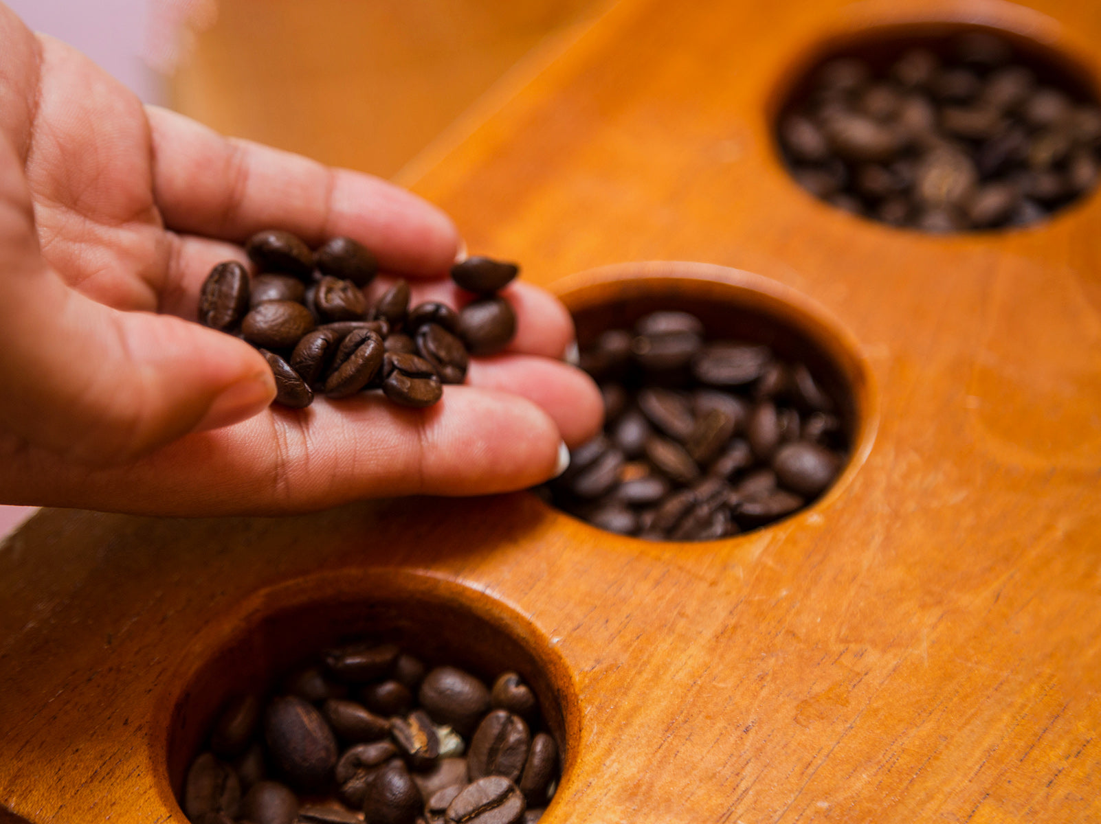 Types of Coffee Beans